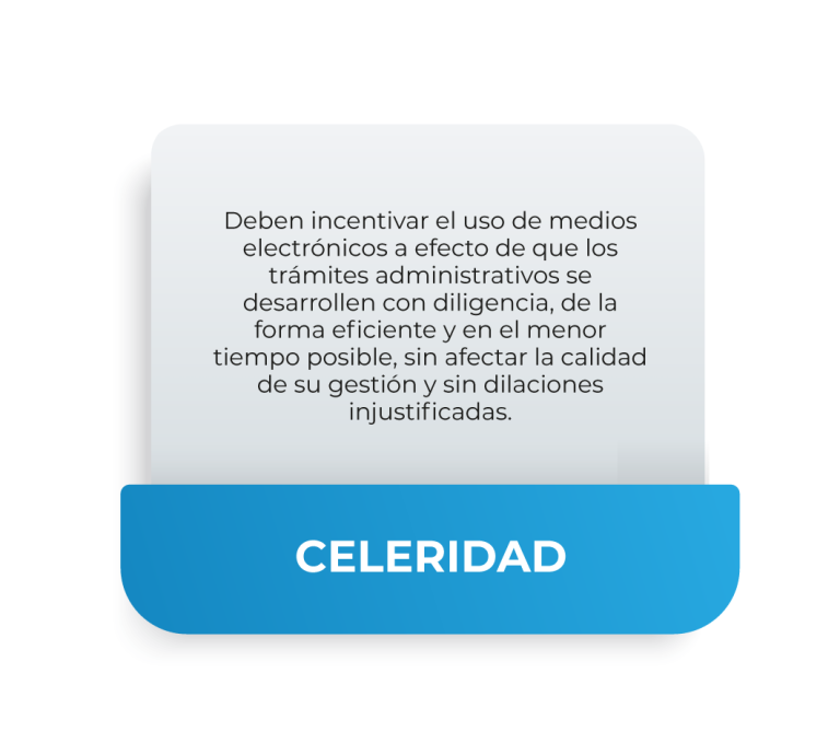 Celeridad