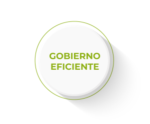 Gobierno Eficiente