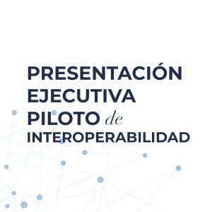 Presentación ejecutiva piloto